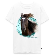 Ostwind Aris Ankunft Ostwind