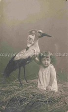 Storch Stork Cigogne Ciguena--