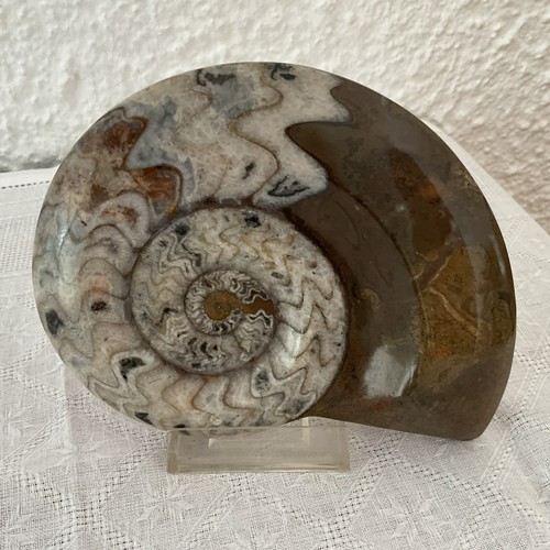 Großer mineralisierter