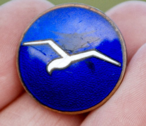 Segelflieger abzeichen - segelflieger,