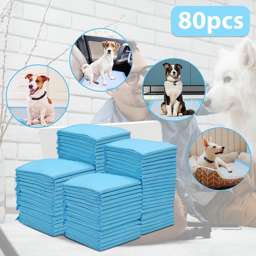Toilette training pads - toilette,