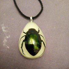 Grün schillernder Skarabäus