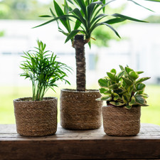 Seegras Korb rund natur