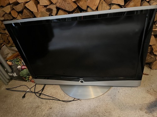 Großer löwe fernseher - großer,