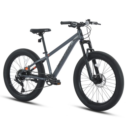 Spatial zoll citybike mit - 24,