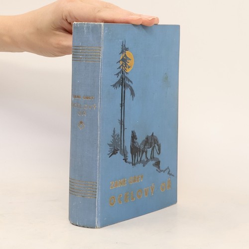 Ocelový oř zane grey - ocelový,