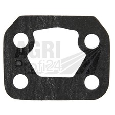 Dichtung Förderpumpe Eicher