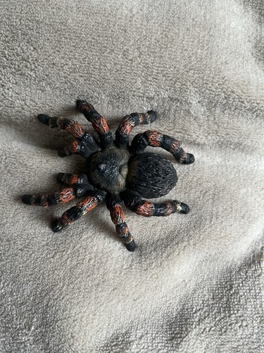 Schleich spinne spielfigur - schleich,