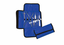 Instrumentenetui blau mit