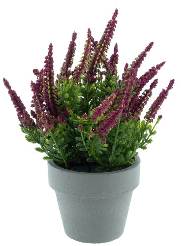 Künstliche erika fuchsia - künstliche, im