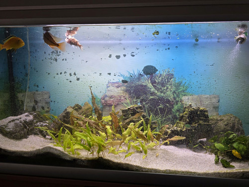 Aquarium 300 liter - aquarium, mit