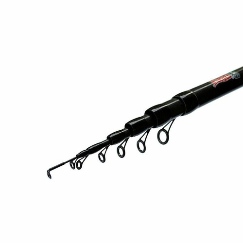 Fanatik bologneserute rapier - bologneserute, "rapier"