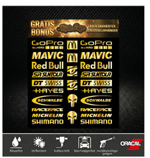 MTB Fahrrad Sponsoren