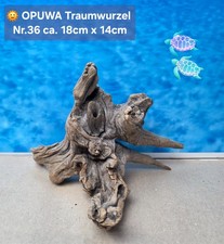 Opuwa traumwurzel - opuwa,