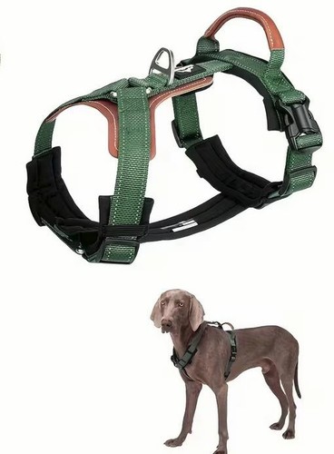 Hundegeschirr grün nylon - xl,