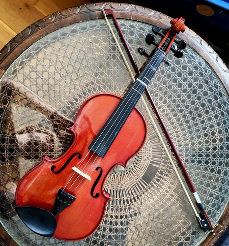 Stentor violine geige student - violine,