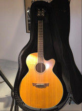 Cort Parkwood PW370M Westerngitarre (handmade) – Tasche und Ständer