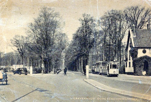 Nederland the hague den - the,