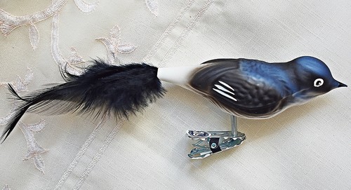 Mehlschwalbe glasvogel - ❀,