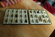 Mini Biester Sammlung im Originalkasten, 29 Stück, ohne Hefte, Insekten