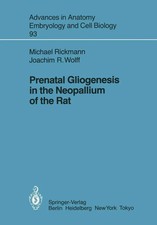 Prenatal Gliogenesis in the