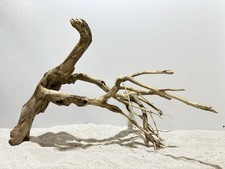 Talawa Wurzel XXL ähnlich