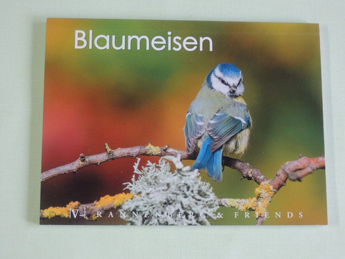 Postkartenbuch blaumeise 15 - postkartenbuch,