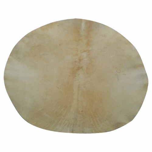 Drum head goat skin - head, 22"