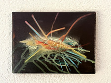 Dennis Konstantin Bax