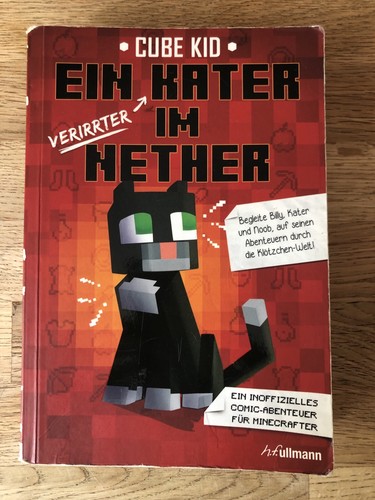 Cube kid ein verirrter kater - ein,