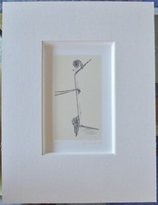 Max Ernst Frotage IV 1973