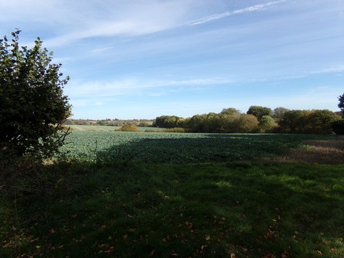 Foto 6x4 farmland off boley - foto,