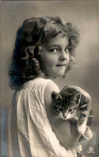 Katze katzen mit - ak, kind