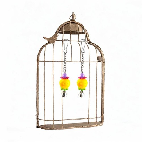 Stück haustier vogel - 2,