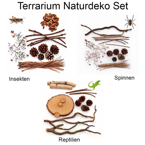 Terrarium naturdeko set - terrarium,