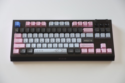 Razer blackwidow tenkeyless - blackwidow, v4