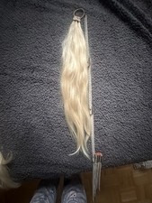 rapunzel of sweden Braids 60