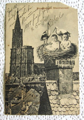 Strassburger storchennest - strassburger,