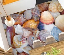 Farbe schalen m583 - farbe,