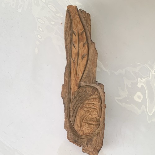 Wandrelief feder icottonwood - wandrelief,