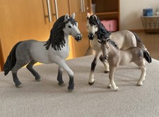 Andalusier Pferdefamilie v