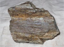 VERKIESELTES HOLZ MIT CHALCEDON AUS ALMASU MARE IN RUMÄNIEN!!! 2025.11.17