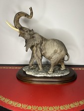 Giuseppe Armani Afrikanischer