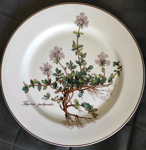 Villeroy und boch botanica - villeroy,