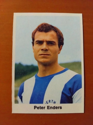 Peter enders - peter,