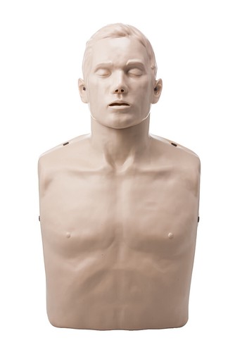 Brayden manikin basic - brayden,