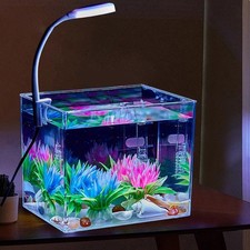 1/2,5 Liter Kleines Aquarium