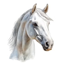 100x Stickers Horse