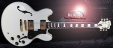 FGN Masterfield Semiakustik