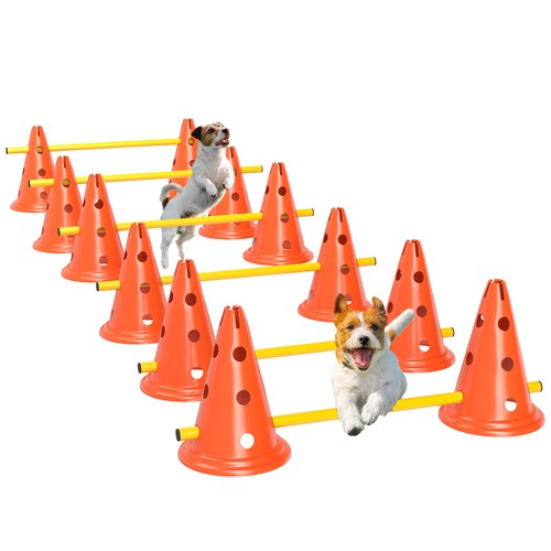 Agility set hunde teiliges - hunde, 6-teiliges
